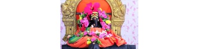கணபதி விஸ்வநாதசாமி